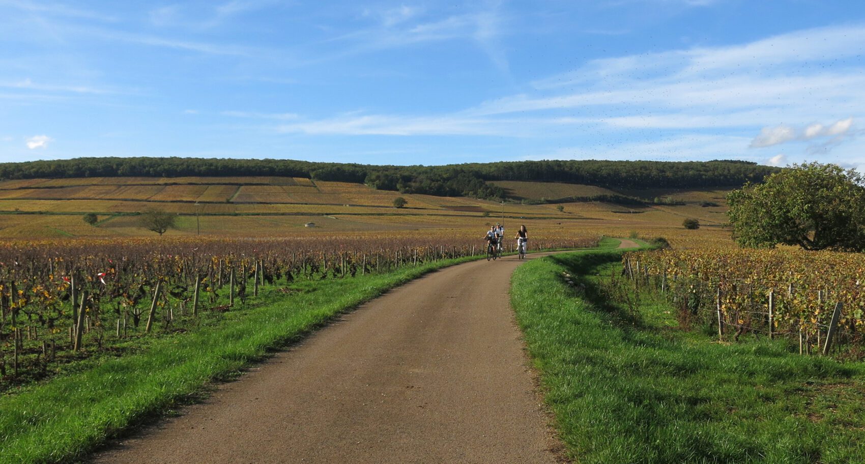 Veloroute apres Aloxe cyclistes