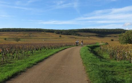 Veloroute apres Aloxe cyclistes