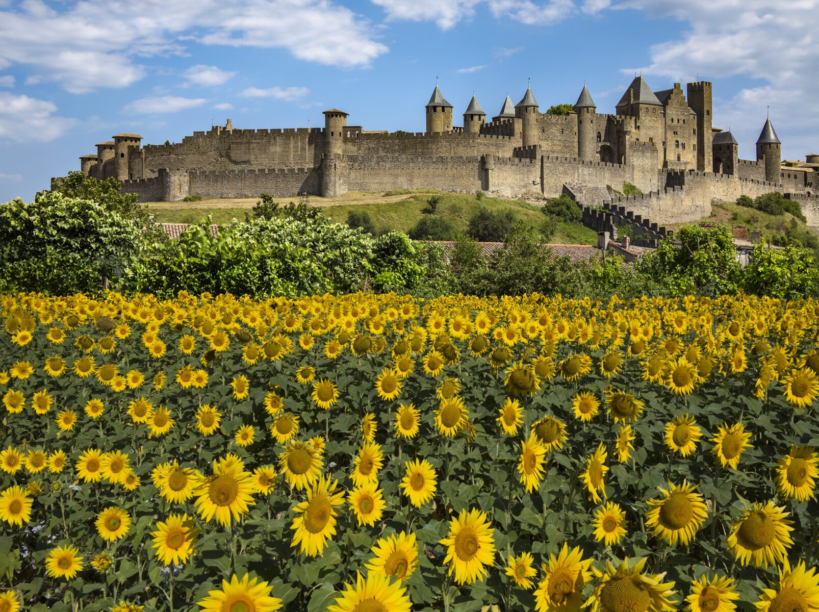 Medieval Citadel of Carcassonne – France