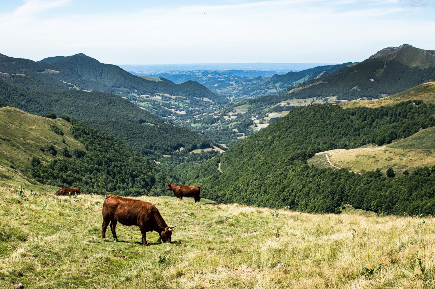 Monts du Cantal