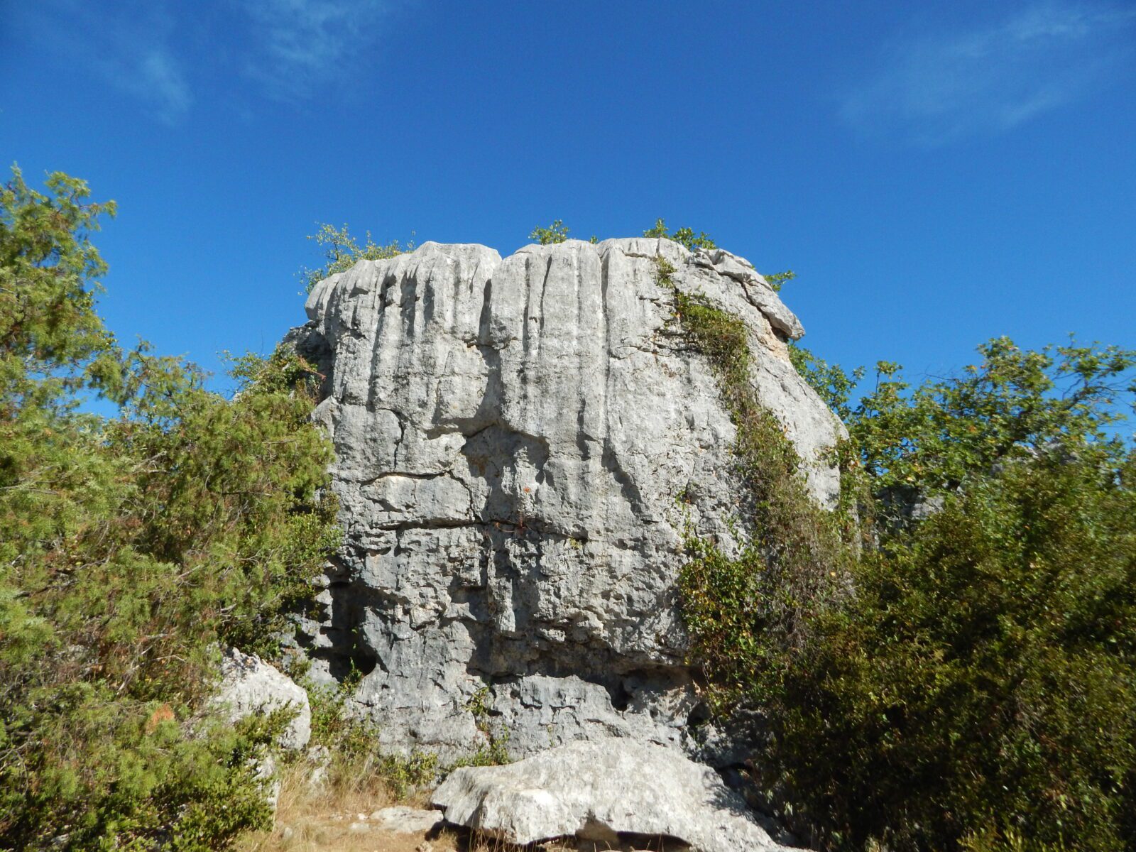 Bois de Païolive, Ardèche