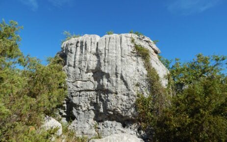 Bois de Païolive, Ardèche