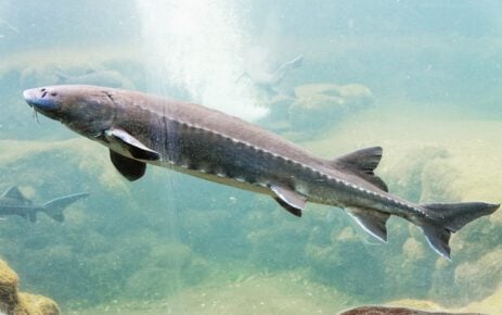 Aquarium du Périgord Noir