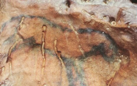 Grotte de Villars