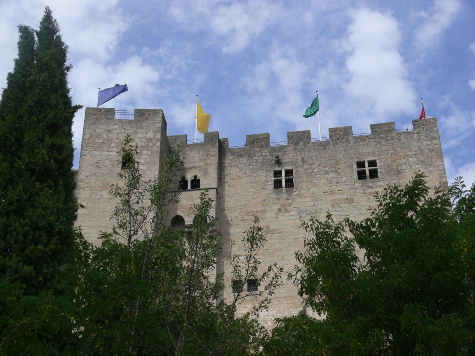 Crest_-_donjon_01