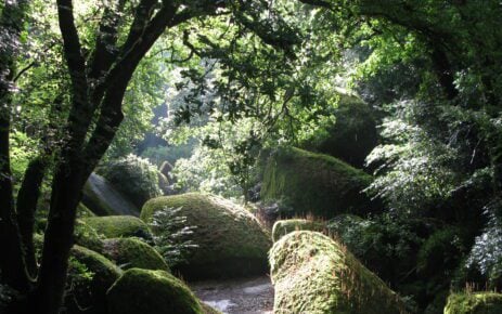Forêt_de_Huelgoat