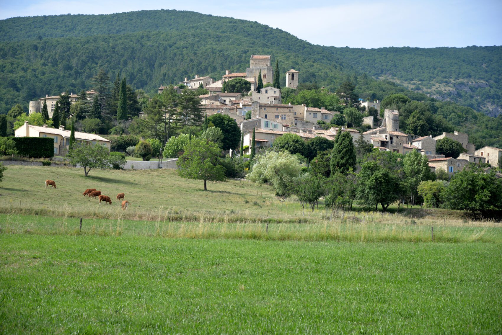 France_ARA_26_Le_Poet-Laval_07