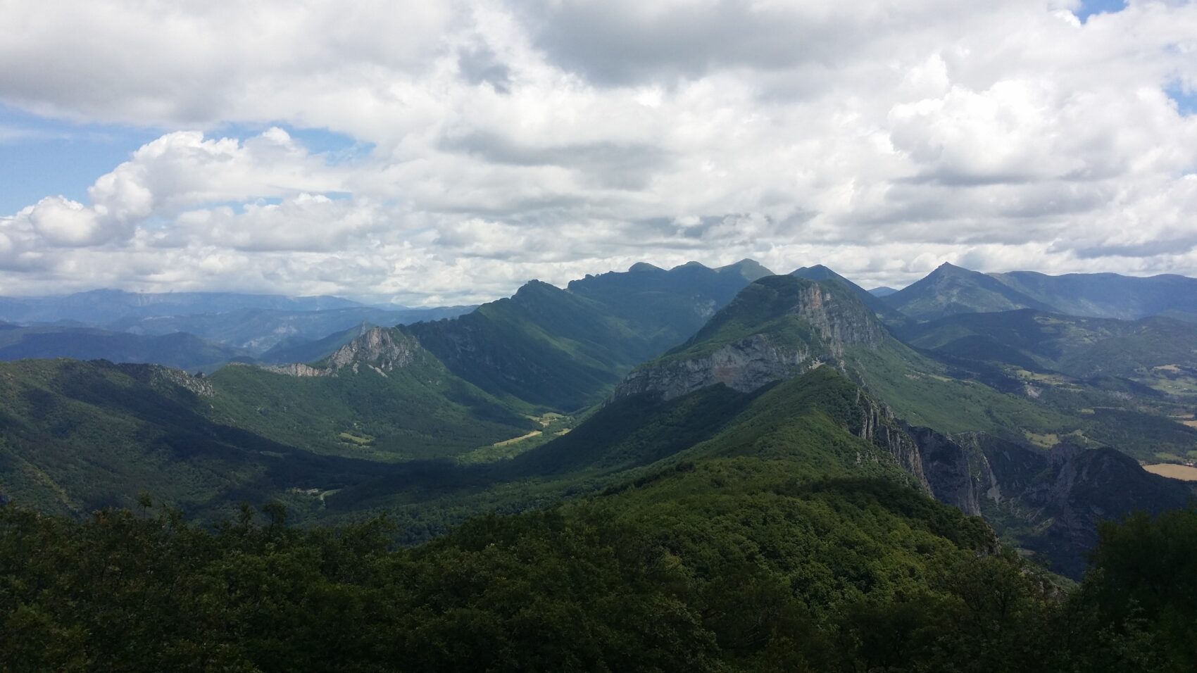 Synclinal_de_la_forêt_de_Saou