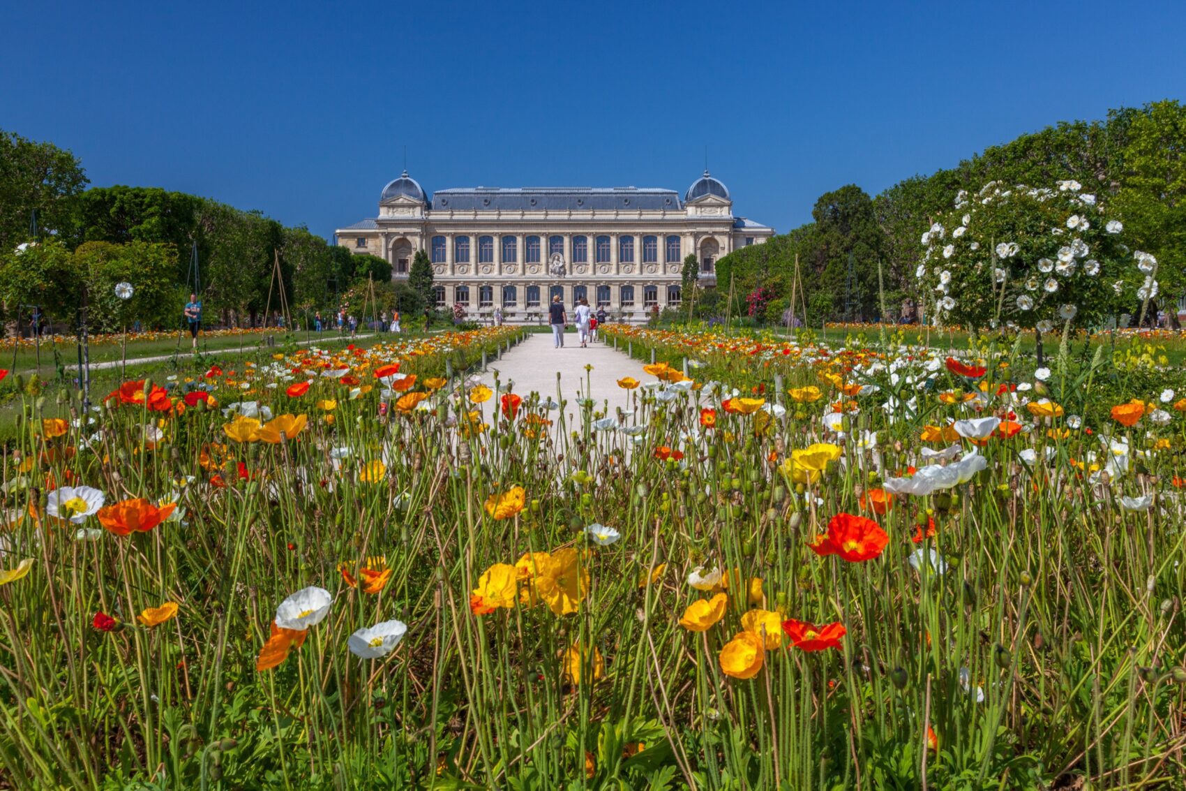 Grande Galerie de l’évolution, Jardin des Plantes, Parijs