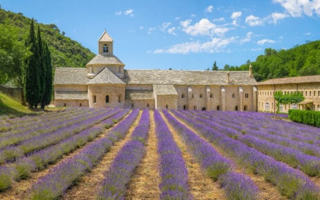 Abbaye_Notre-Dame_de_Sénanque,_2022