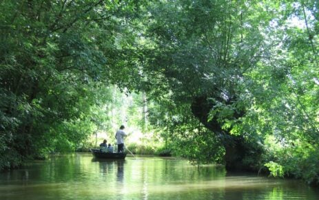 MaraisPoitevin