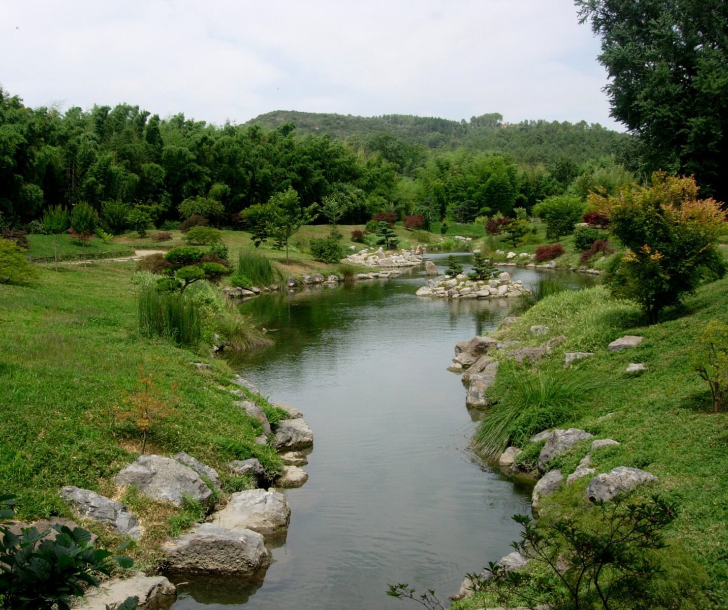 Ruisseau_dans_la_bambouseraie_d’Anduze