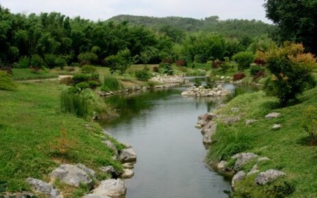 Ruisseau_dans_la_bambouseraie_d’Anduze