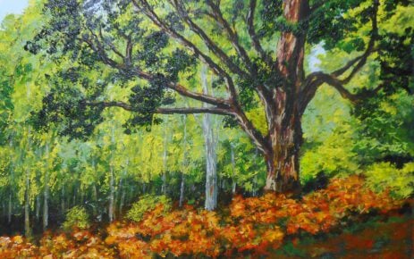 9. Reuze eik, Forêt de Fontainebleau