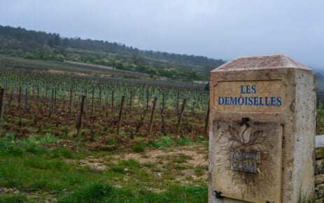 Bourgogne inkoopreis april 2024 Sfeerfoto’s, wijngaarden etc (23)