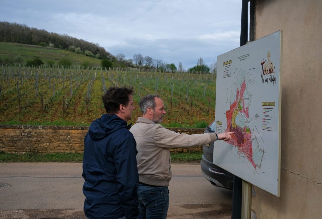 Bourgogne inkoopreis april 2024 Sfeerfoto’s, wijngaarden etc (55)